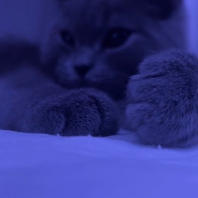 Thereal14_N's profile picture. broke as                    dc: nataliaz1920