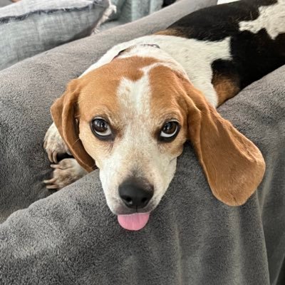 JSBaker1994's profile picture. 