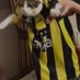anestezili kedy (@anestezilikedy) Twitter profile photo anestezili kedy (@anestezilikedy) Twitter profile photo