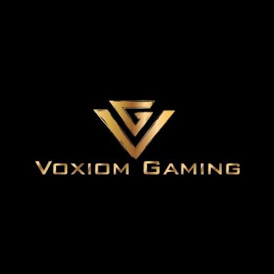 VoxiomG22880's profile picture. 