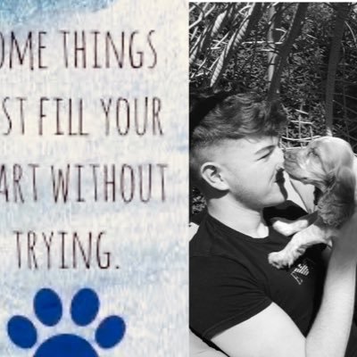 hemingway_julie's profile picture. 