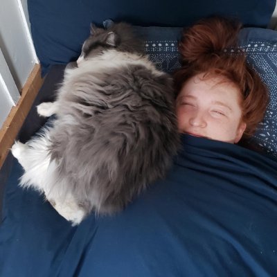 Shay Howe do you do? | Software Engineer in the Twin Cities | 100Devs | Cube will outlive Magic | Netrunner’s run never ends