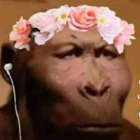 MW_OB (@marcuswill1677) 's Twitter Profile