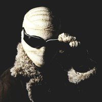 Franck Vox (@franck_tayelore) 's Twitter Profile Photo Franck Vox (@franck_tayelore) 's Twitter Profile Photo