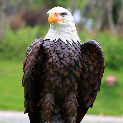 Nyoxz2's profile picture. The Earth is Flat- I checked😉