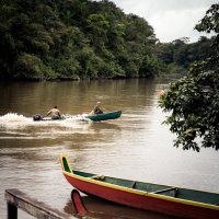 🐍 (@cobra) 's Twitter Profile