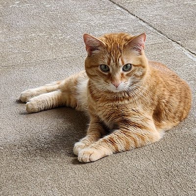 MarMar1952531's profile picture. 