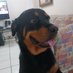 Anibal Aponte (@anibalaponte13) Twitter profile photo Anibal Aponte (@anibalaponte13) Twitter profile photo