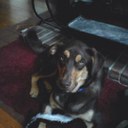 douglas rosen - @RosenDouglas - Twitter