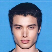 DIGITAL PONZI (@digitalponzi) 's Twitter Profile