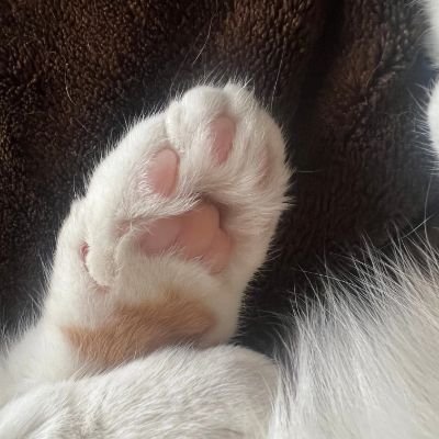 3H9uAgoNNS18072's profile picture. 