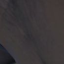 cockslvut's profile picture. mdni