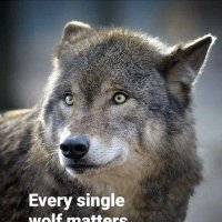James Alexander (@jamesa135488247) 's Twitter Profile Photo James Alexander (@jamesa135488247) 's Twitter Profile Photo