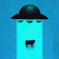 Sol Benitez (@sole_ux) 's Twitter Profile Photo