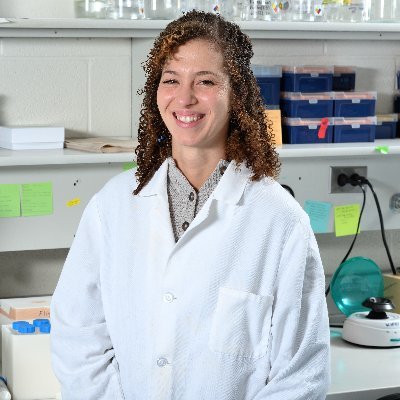 thomso89's profile picture. Ph.D. candidate in the Brandizzi Lab studying the unfolded protein response @ Michigan State University.