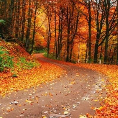 AnaMirna1988's profile picture. Lo mejor del mundo es el amor #Tampico #Madero #Tamaulipas #Mexico