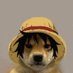 catoro (@c4tor0) Twitter profile photo catoro (@c4tor0) Twitter profile photo