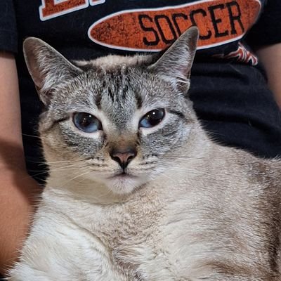 ramirez_lusvi's profile picture. 