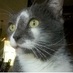 Eileen Dover 🎸🎶🐈🐓🏍️ (@edover60) Twitter profile photo Eileen Dover 🎸🎶🐈🐓🏍️ (@edover60) Twitter profile photo