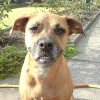 Paulus (@pm366777) 's Twitter Profile