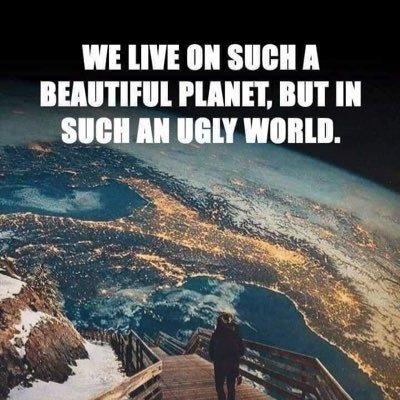 David24080's profile picture. 
