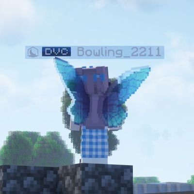 17 | not much to do but bowling | https://t.co/UKhLDQa4VK | 10 year Minecrafter