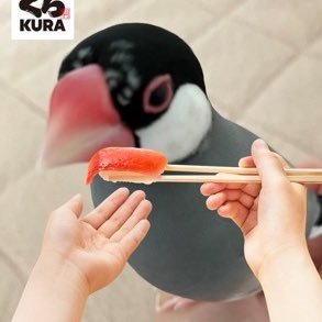 BsWA7IDhtn42397's profile picture. ただの文鳥さん好きです 『ぶんちょとでるるのまったり日記』で文鳥さんとの生活をつぶやいてます 馬と競馬も好きです