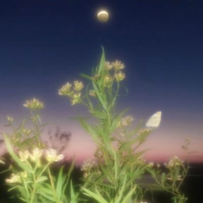 Randmu3's profile picture. HR Management student 👥📚