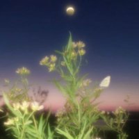 رند (@randmu3) 's Twitter Profile