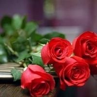 آســـيا (@rainandcoffee55) 's Twitter Profile Photo
