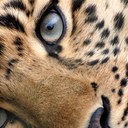 Pamela - @Pamela_Light - Twitter