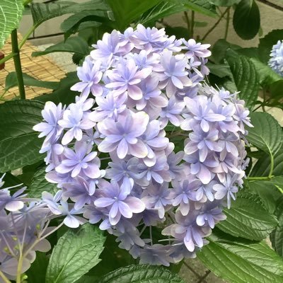 nameさんのプロフィール画像