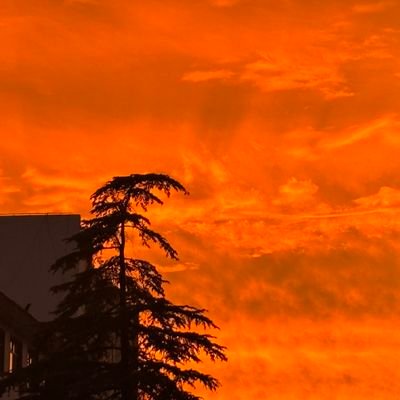 wn396970448521's profile picture. 