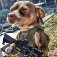 MyPuppyVinny🇨🇦 🇮🇹 🇺🇸 (@iholdtheline_) Twitter profile photo
