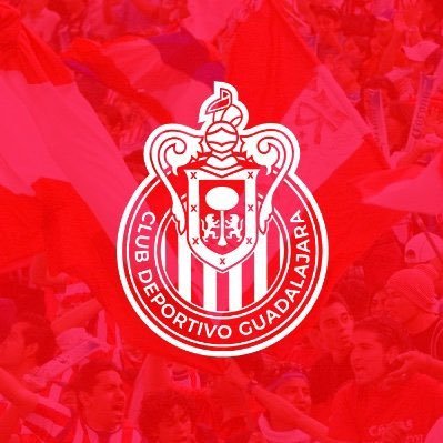 Johanor55392220's profile picture. sígueme y yo te sigo link to my Instagram https://t.co/m09MOgl1DC