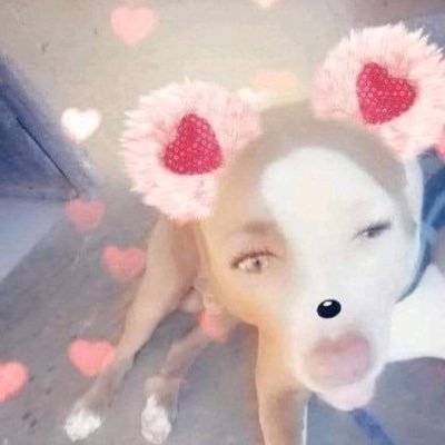 crean_111's profile picture. 