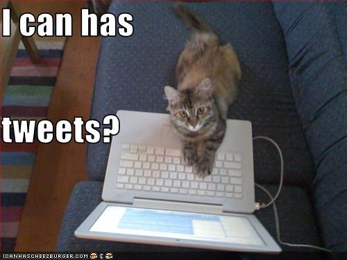 mijngomp's profile picture. Never fear, I is here.