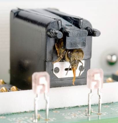Inscentinel, famous for its SnifferBees, is a British startup with huge ambition to use honeybees to detect explosives/drugs in airports, customs and borders.