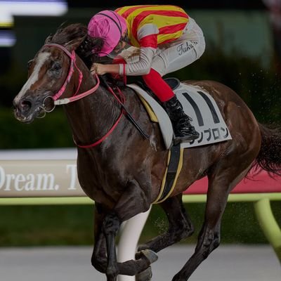 Tc80Uddxrp4Qpdp's profile picture. 