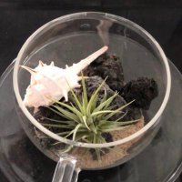 흰구름 (@_icanbeanything) 's Twitter Profile