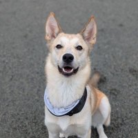 jesse Horn (@jessehornwest) 's Twitter Profile Photo jesse Horn (@jessehornwest) 's Twitter Profile Photo