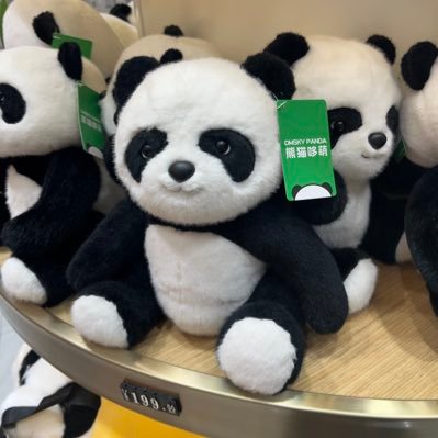 blacktea_wutang's profile picture. 中華圏に興味があり、簡体字と繁体字を独学で勉強中です📝´- 2026はちゃんとHSK等の資格取りたいですね。聞き取れないので会話が苦手です😭中華圏行くとお茶類は『無糖』（无糖）って文字を必ず探します👀❕❕