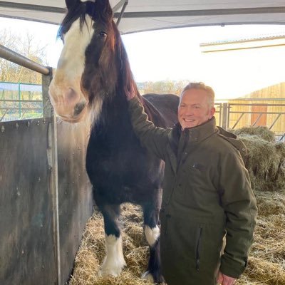 relif51981's profile picture. 