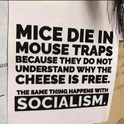 SchnitterStorr's profile picture. Christ, Gotteskind, Ehemann, Vater, konservativ-libertär,  MGGA, MEGA, MAGA, pro-JESUS, pro-life, pro-Israel, pro-freedom