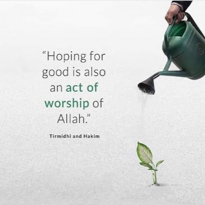 zainab_ish55467's profile picture. 