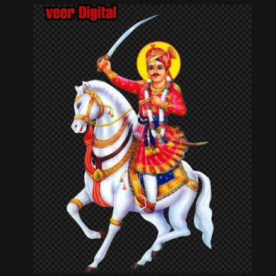 Veer Digital