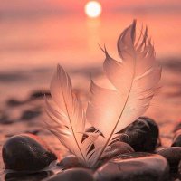 Pascale E. Bosson (@pascalebosson) 's Twitter Profile Photo