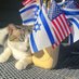 JS🎗️🇺🇸🇮🇱🧡 (@jennifersandem1) Twitter profile photo JS🎗️🇺🇸🇮🇱🧡 (@jennifersandem1) Twitter profile photo