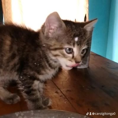 Caroline_0849's profile picture. 