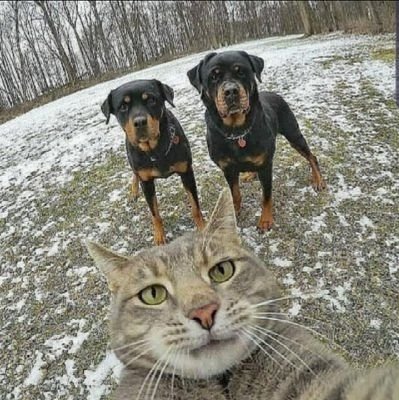 XavDoesPoetry's profile picture. What is this weird place?